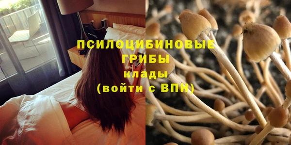 МДПВ Няндома